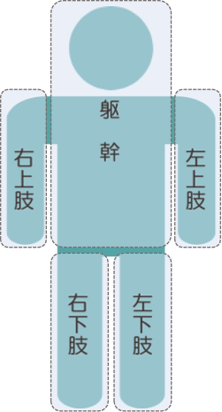 施術部位